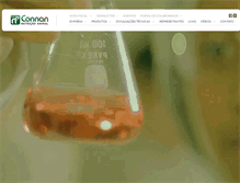 Tablet Screenshot of connan.com.br